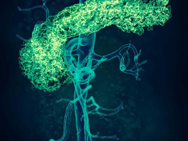 virus infectieziekten
