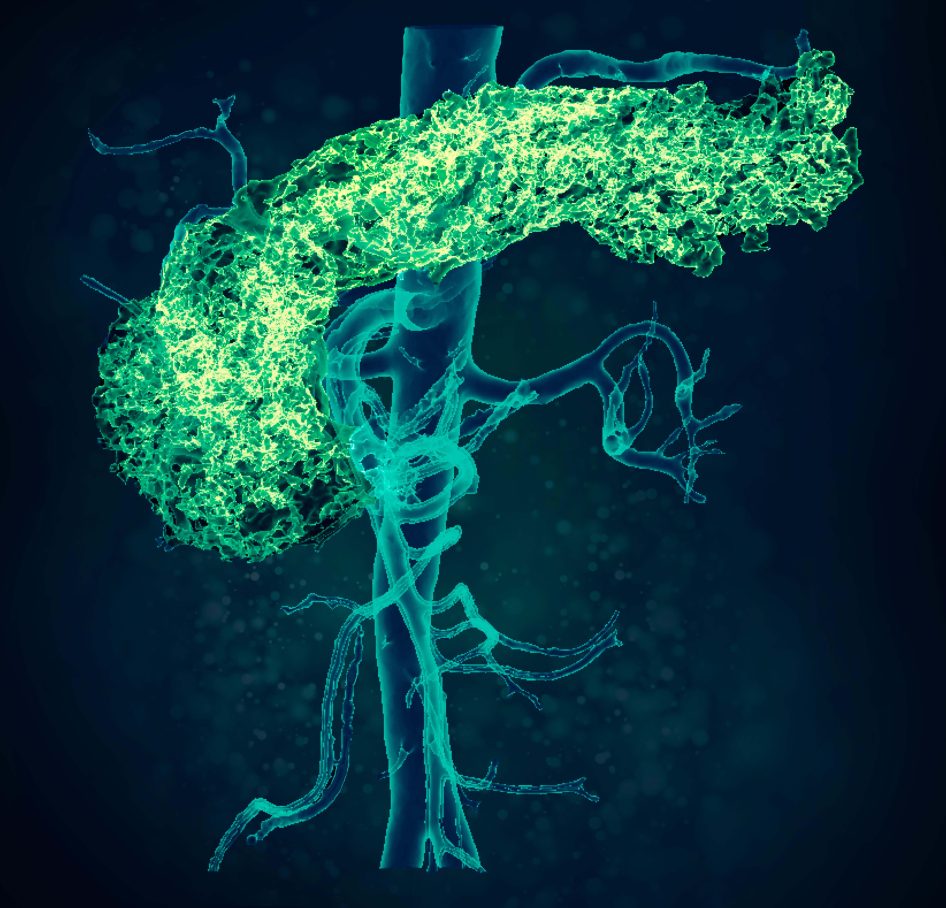 virus infectieziekten