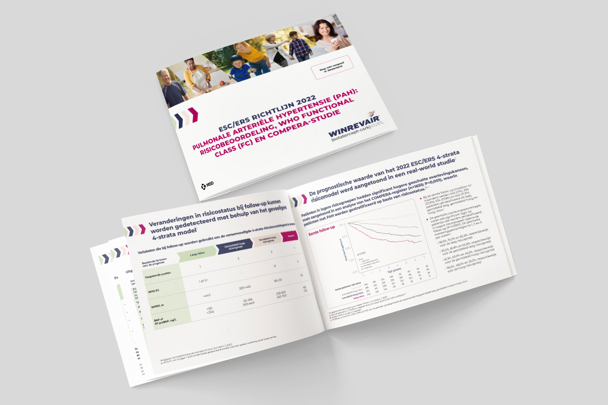 ERS/ESC PH risk assessment